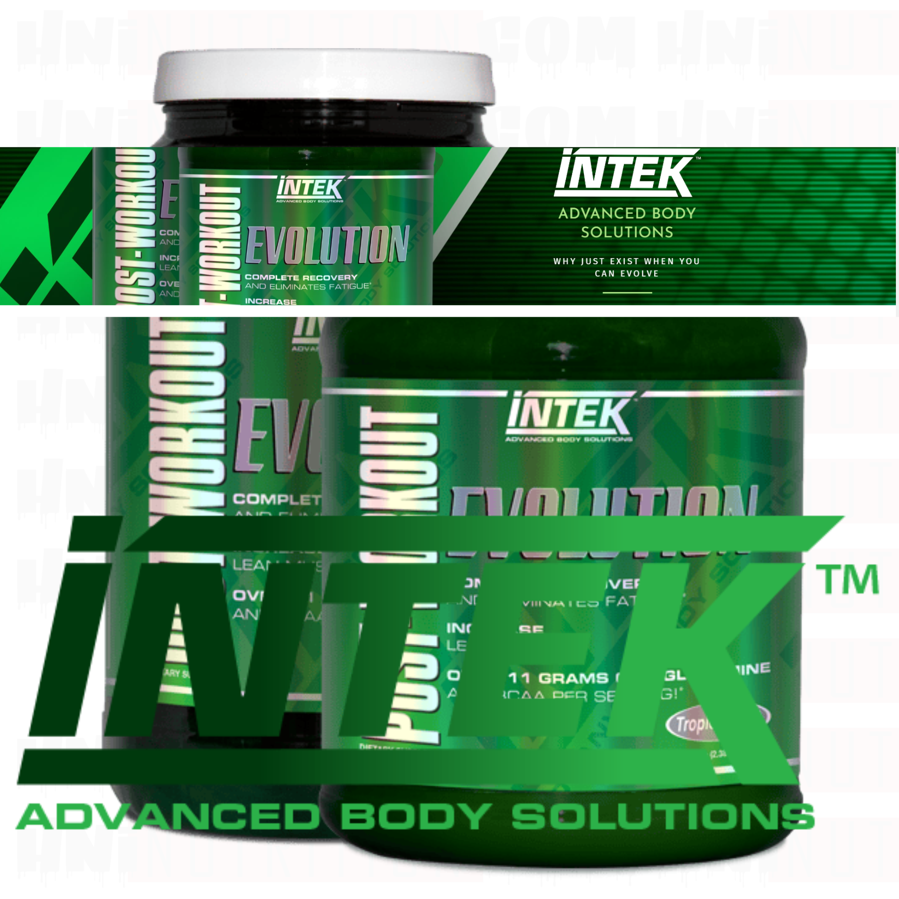 INTEK POST-WORKOUT EVOLUTION – H&I Nutrition
