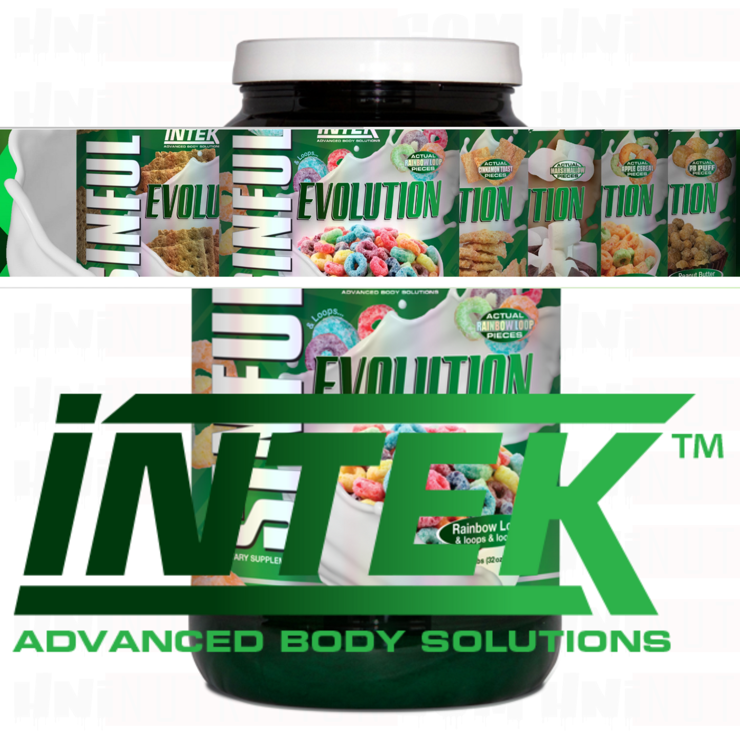 INTEK SINFUL EVOLUTION