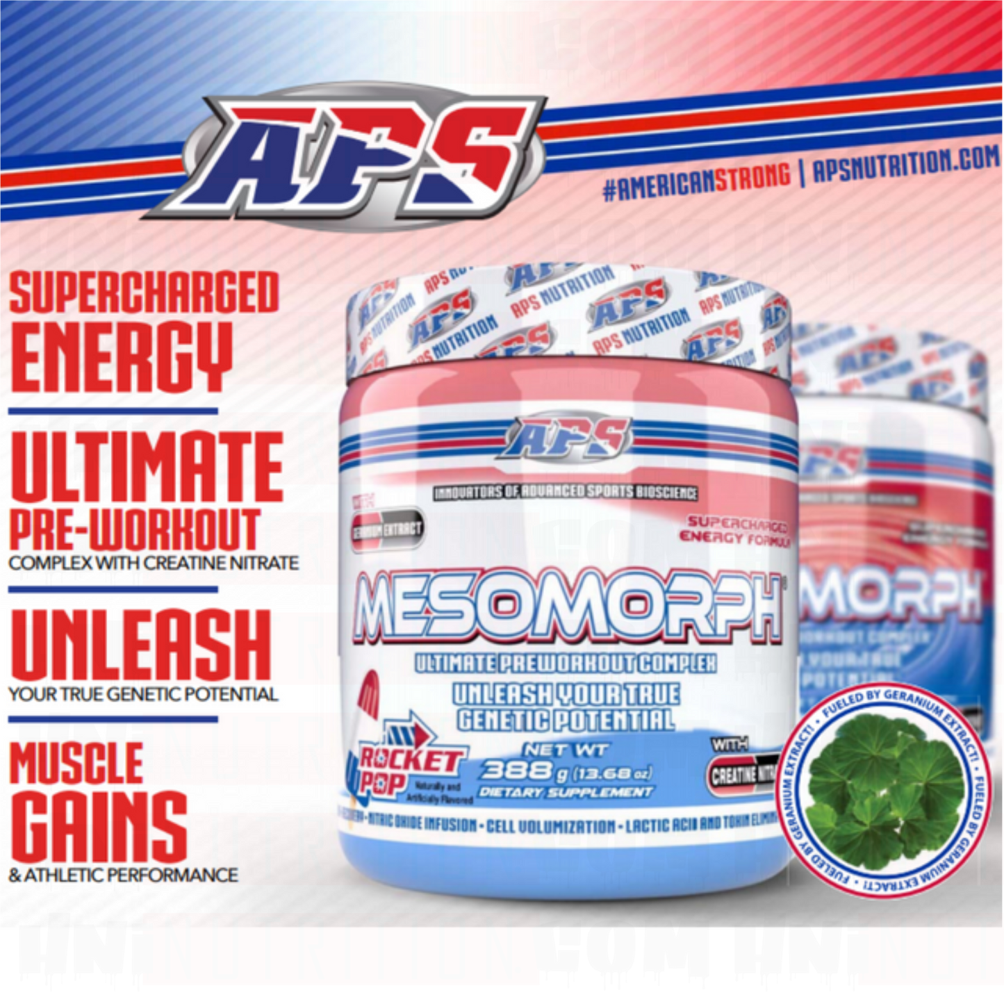 APS MESOMORPH V3