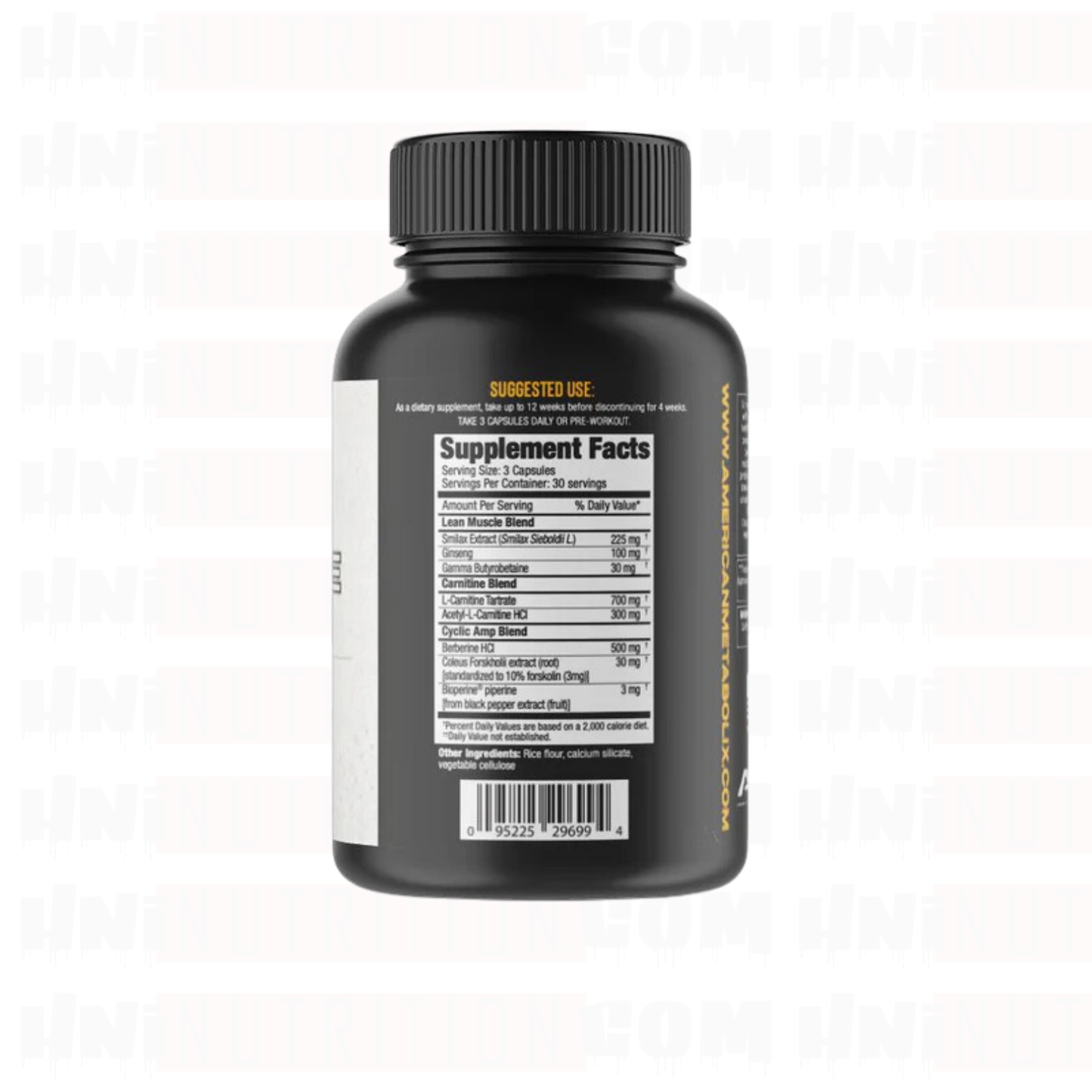 AMERICAN METABOLIX LEAN MUSCLE